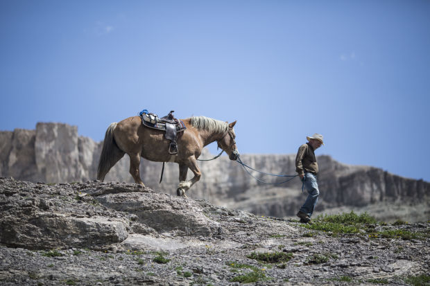 Gros Ventre Wilderness